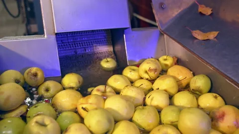 Lots of apple are being washed for future processing. Stock Footage 169173256