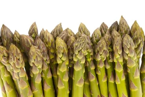Lots of Asparagus Stock Photos