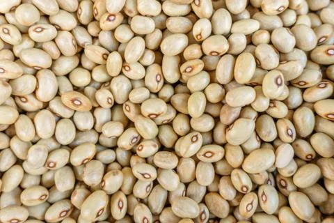 Lots of beans close up, bean background Stock Photos