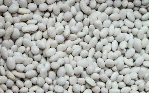 Lots of beans Foto stock