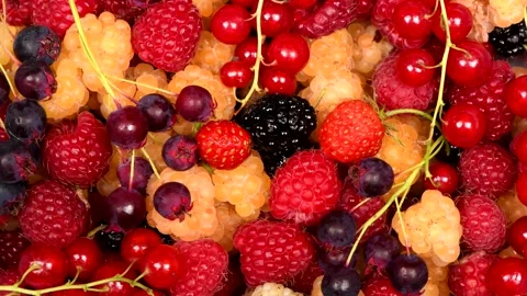 Lots of berries. Side view. Loop motion. Rotation 360. Stock Footage 160284417