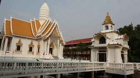 Lots of birds on the Buddhist temple Stock Footage 48595473
