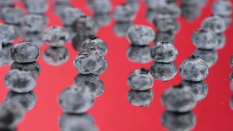 Lots of blueberries on red mirror. Extrem close-up. Side view. Stock Footage 162774469
