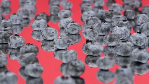 Lots of blueberries on red mirror. Extrem close-up. Side view. Stock Footage 162774733