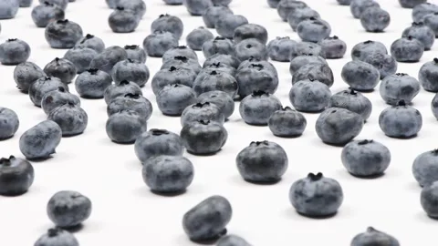 Lots of blueberries on a white background. Side view. Loop motion. Rotation 360 Stock Footage 168585526