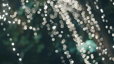 Lots of bright string lights hang from the trees in Bangkok at night Stock Footage 308897564