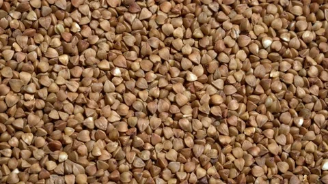 Lots of buckwheat close-up Stock Footage 153939167