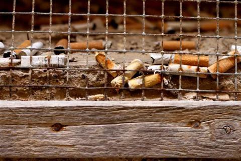 Lots of butts in a window Stock Photos