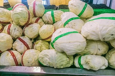 Lots of cabbage Stock Photos