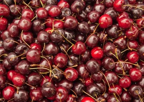 Lots of cherries. Stock Photos