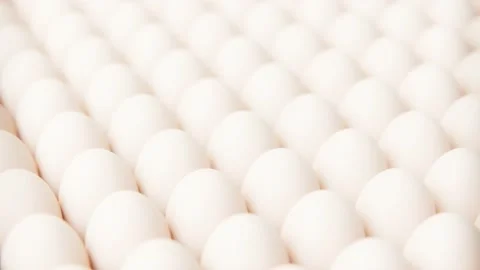 Lots of chicken eggs. Seamless loop 4K animation. Fresh eggs for wholesale Stock Footage 221257485