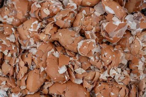 Lots of chipped eggshell, background, texture, closeup Stock Photos