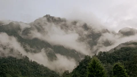 Lots of clouds moving high in the jungle 스톡 동영상 69772353