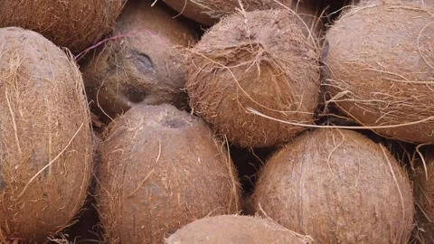 Lots of coconuts close up. 스톡 동영상 265026468