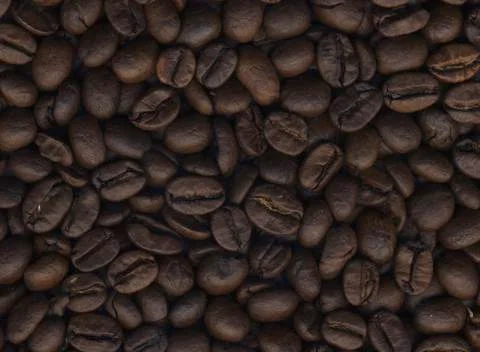 Lots of Coffee Beans Stock Photos