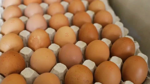 Lots of colored (brown) and white eggs close up in paper-cardboard pressed egg t Stock Footage 102526243
