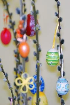 Lots of colorful painted eggs on an easter tree Stock Photos