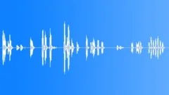 Lots of CrowsSound Effect