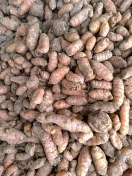 Lot's of curcumin Stock Photos