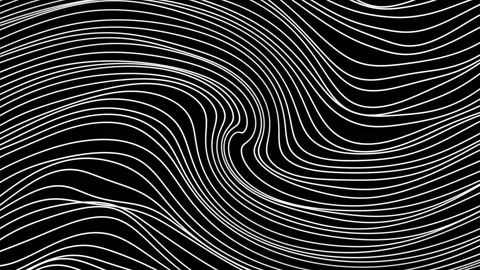 Lots of curved lines on black background. Motion. Thin lines bend during Stock Footage 169409168
