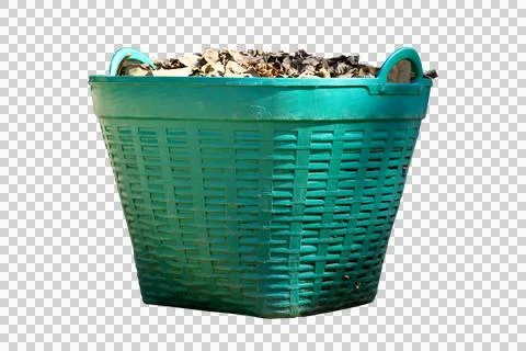 Lots of dead leaves in a large green plastic basket ,trash isolated on white Stock Photos