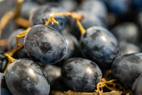 Lots of different grapes Stock Photos