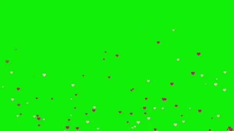 Lots Dynamic with Hearts on Chroma Key for Compositing Video stock 337045719