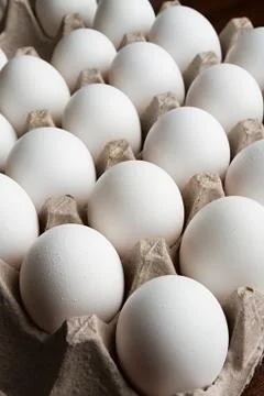 Lots of eggs Фото