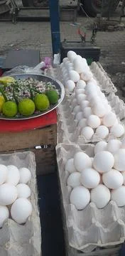 Lots of eggs Stock Photos