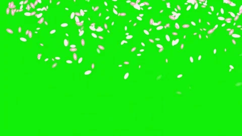 Lots Falling on Green Screen Chroma Key Background Video stock 337045531