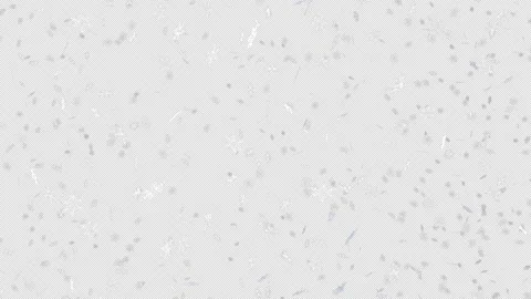 Lots of falling snowflakes - 3d render looped with alpha channel. Stock Footage 167535043