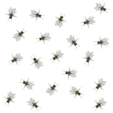 Lots of flies Stock Illustration