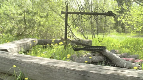 Lots of flowers and trunks on the forest Stock Footage 39286938