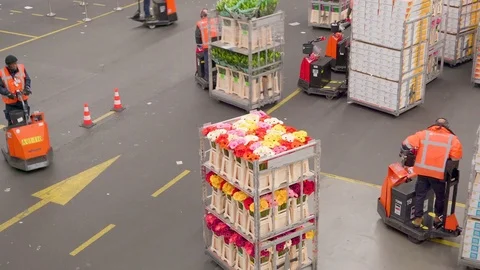 Lots of flowers in the cart inside the warehouse Видео 76423515