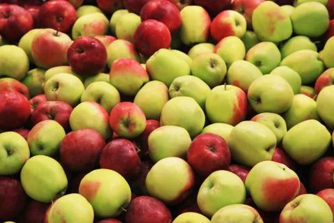 Lots of fresh apples Stock Photos