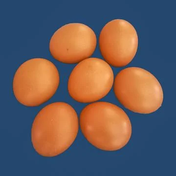 Lots of fresh eggs Stock Photos