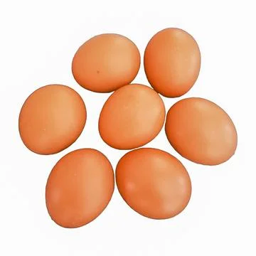Lots of fresh eggs Stock Photos
