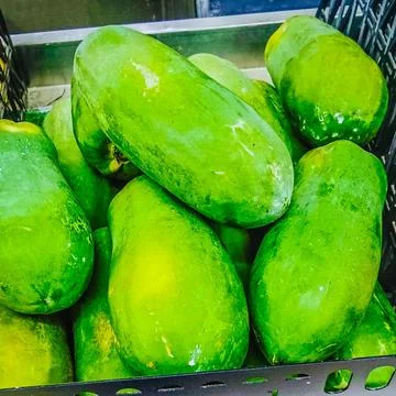 Lots of fresh papayas in the container Stock Photos