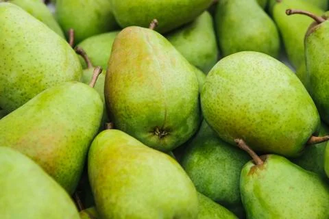Lots of fresh pears background Foto stock