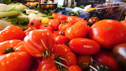 Lots of fresh ripe tomatoes lying on shelf in farmer market Stock Footage 101382368