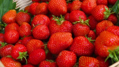 Lots of fresh strawberries Stock Footage 293947246