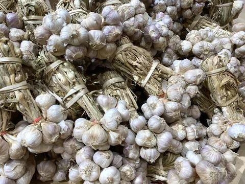 Lots of garlic Stock Photos