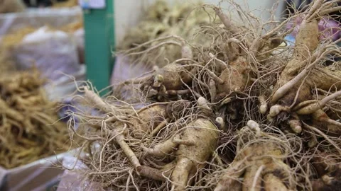 Lots of ginseng, close up shot Video stock 303402098