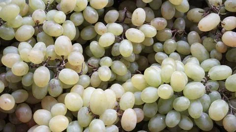 Lots of grapes Stock Photos
