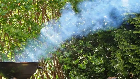 Lots of gray smoke from grill into lush foliage Stock Footage 76234887