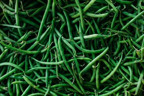 Lots of green string beans at the farmers market Stock Photos