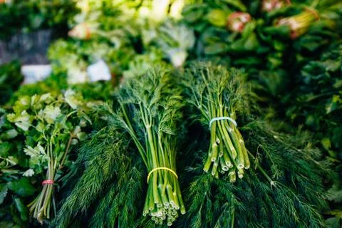 Lots of greenery on the counter Stock Photos
