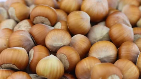 Lots of hazelnuts rotate close up. Stock Footage 164181441