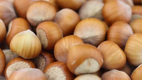 Lots of hazelnuts rotate close up. Stock Footage 219211449
