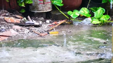 Lots of heavy rain on the ground in front of the house. Stock Footage 218431329